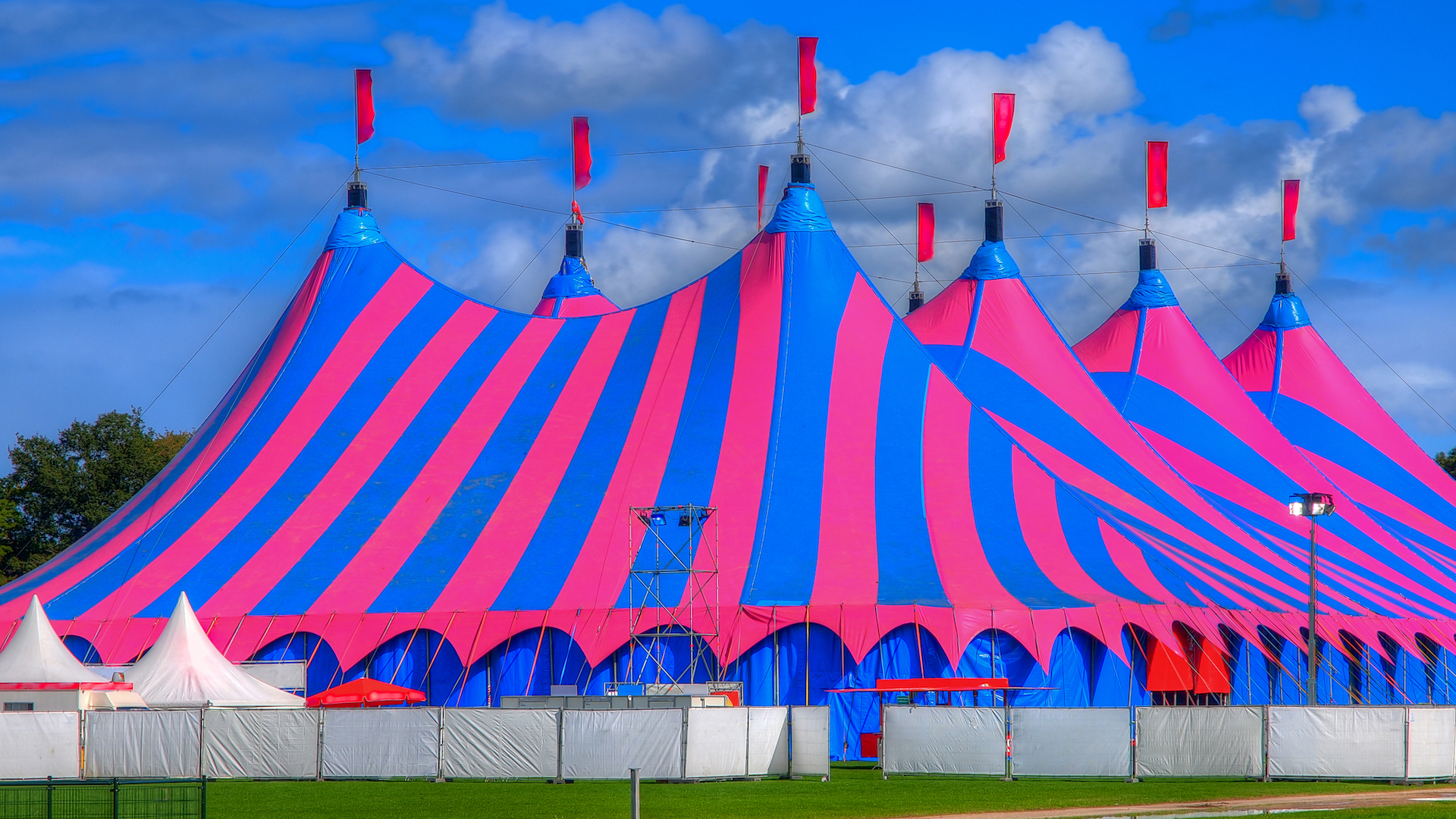 Сочи парк цирковой шатер